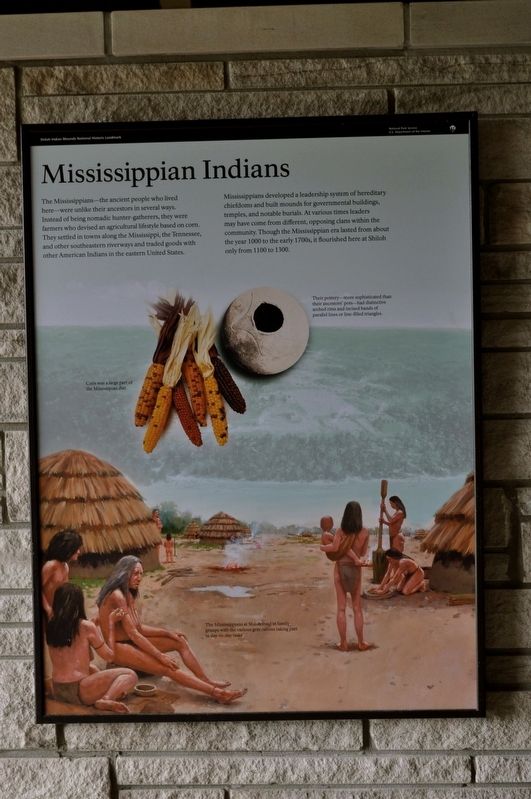 Mississippian Indians Marker image. Click for full size.