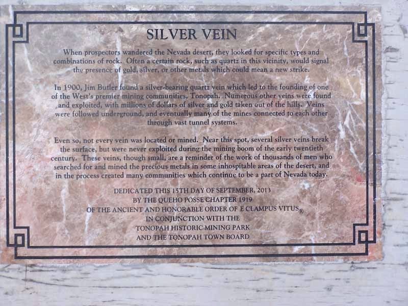 Silver Vein Marker image. Click for full size.
