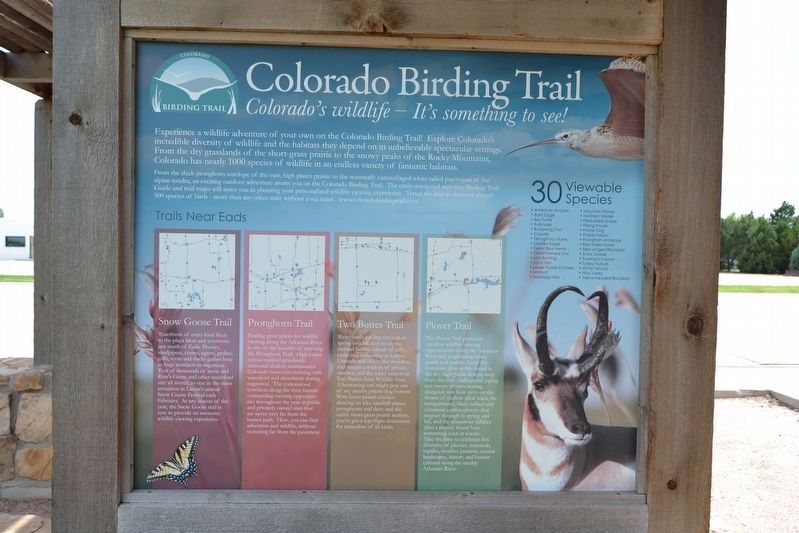 Eads Roadside Park Exhibit. Click for full size. Eads Roadside Park Exhibit image. Click for full size.