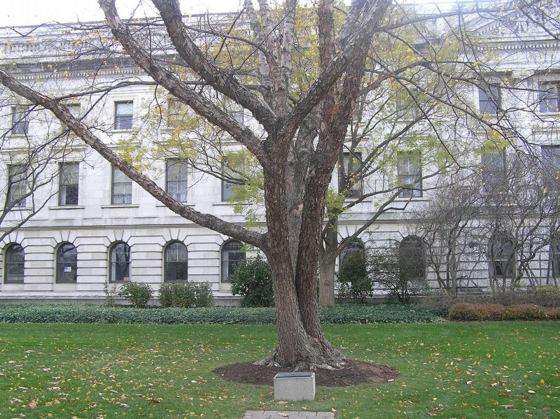 USDA Veterans Memorial Marker image. Click for full size.