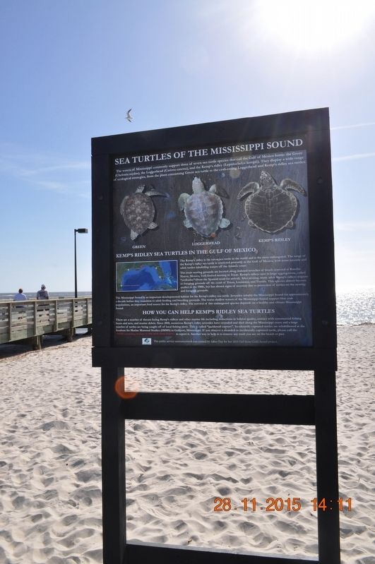 Sea Turtles of the Mississippi Sound Marker. Click for full size. Sea Turtles of the Mississippi Sound Marker image. Click for full size.