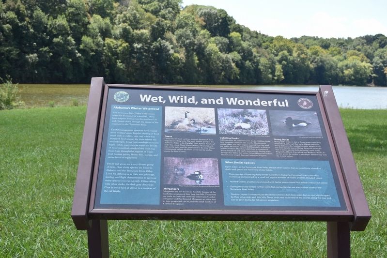 Wet, Wild, and Wonderful Marker image. Click for full size.