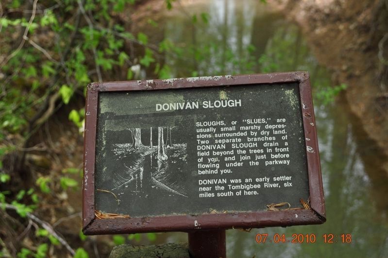 Donivan Slough image. Click for full size.