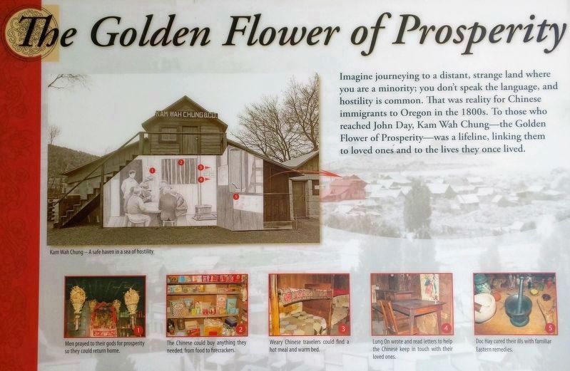 The Golden Flower of Posperity image. Click for full size.