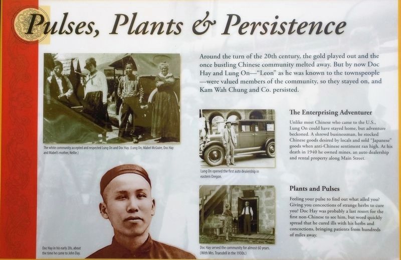 Pulses, Plants & Persistence image. Click for full size.