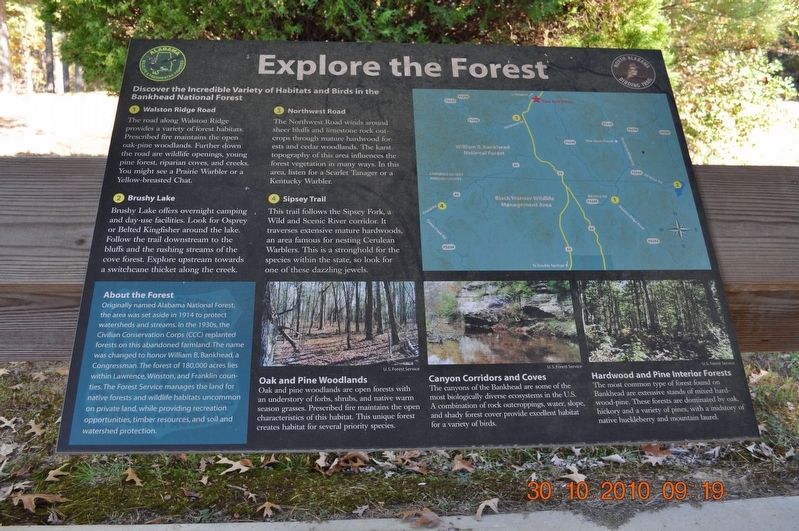 Explore the Forest Marker image. Click for full size.