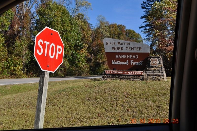 Explore the Forest Marker image. Click for full size.