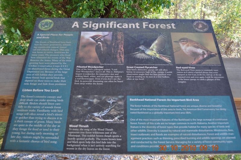 A Significant Forest Marker. Click for full size. A Significant Forest Marker image. Click for full size.