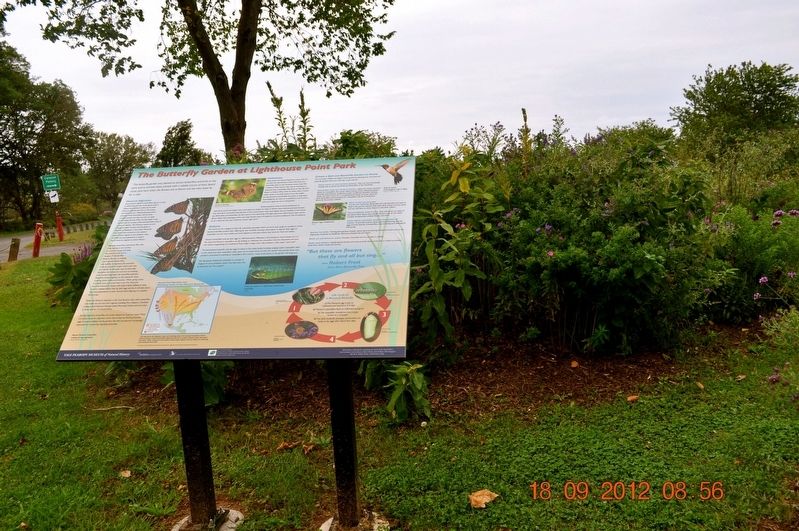 The Butterfly Garden at Lighthouse Point Park Marker. Click for full size. The Butterfly Garden at Lighthouse Point Park Marker image. Click for full size.