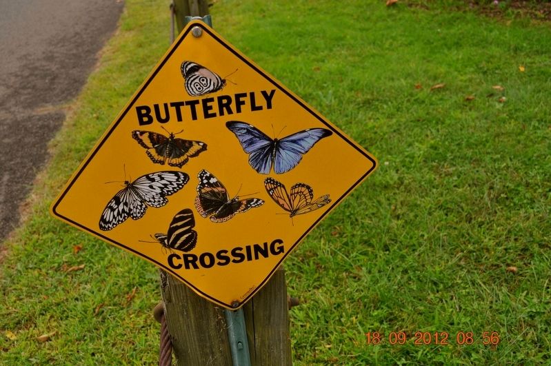 The Butterfly Garden at Lighthouse Point Park Marker. Click for full size. The Butterfly Garden at Lighthouse Point Park Marker image. Click for full size.