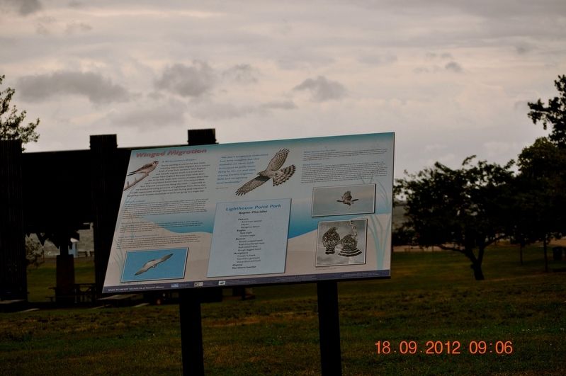 Winged Migration Marker image. Click for full size.