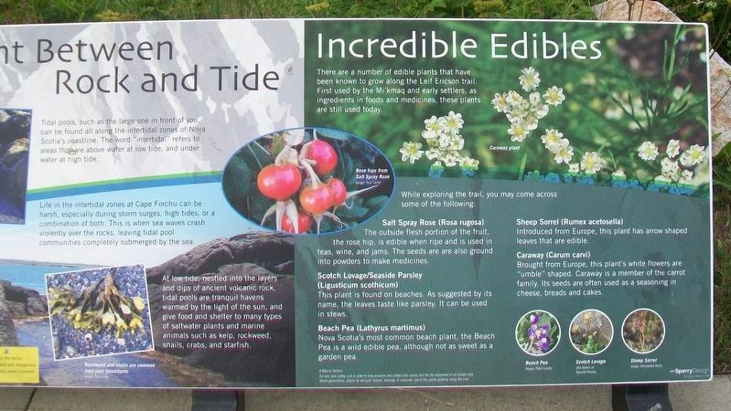Explosive Geology Marker image. Click for full size.