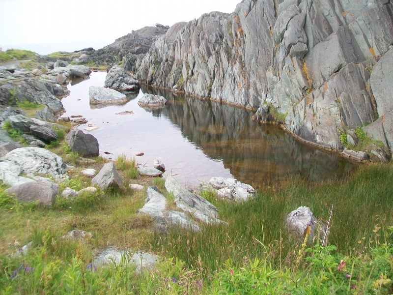 Cape Forchu Geology and Tidal Pool image. Click for full size.