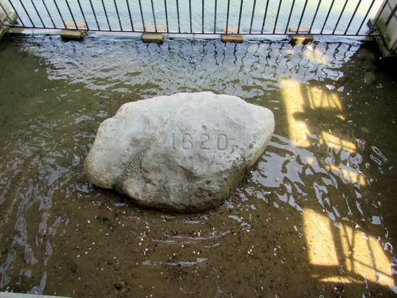 Plymouth Rock. Click for full size. Plymouth Rock image. Click for full size.