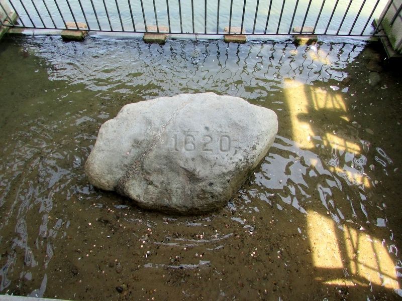 Plymouth Rock image. Click for full size.