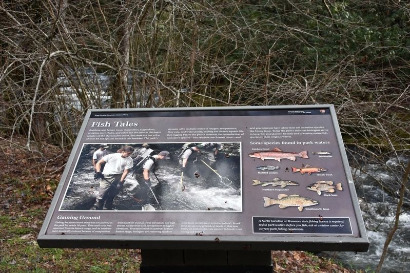 Fish Tales Marker. Click for full size. Fish Tales Marker image. Click for full size.