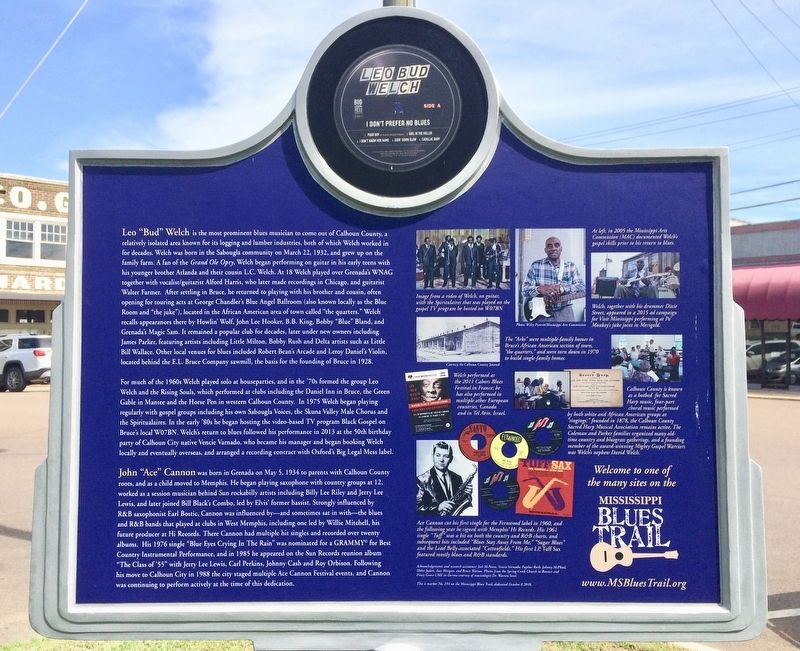 Calhoun County Blues Marker (Rear). Click for full size. Calhoun County Blues Marker (Rear) image. Click for full size.