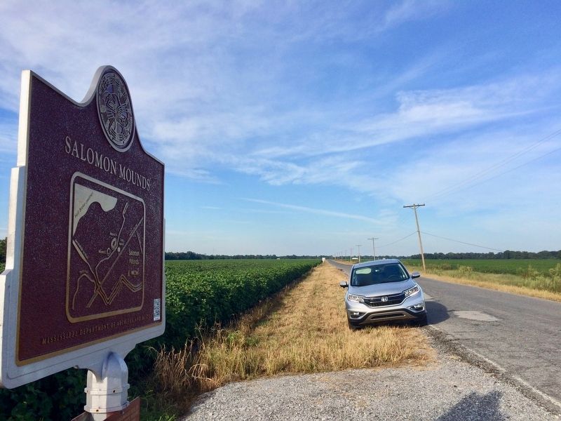 View from marker north towards Highway 61. image. Click for full size.