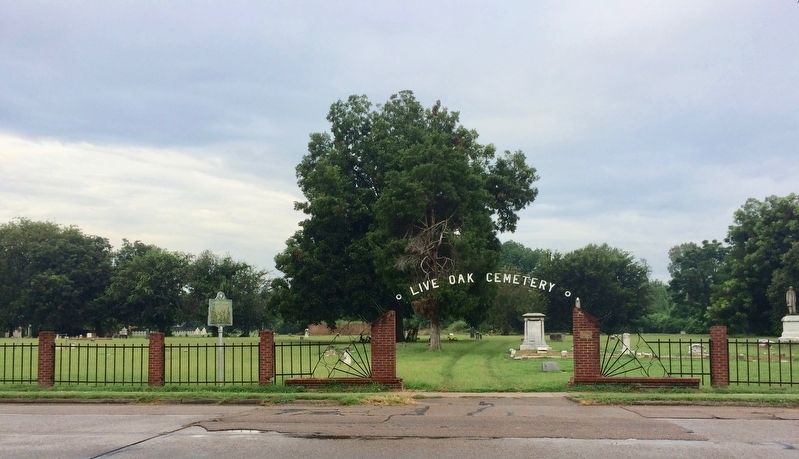 Marker located just to left of Live Oak Cemetery entrance. image. Click for full size.