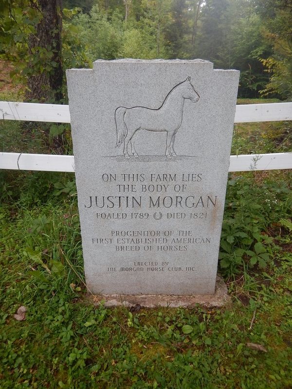 Justin Morgan Horse grave marker. Click for full size. Justin Morgan Horse grave marker image. Click for full size.