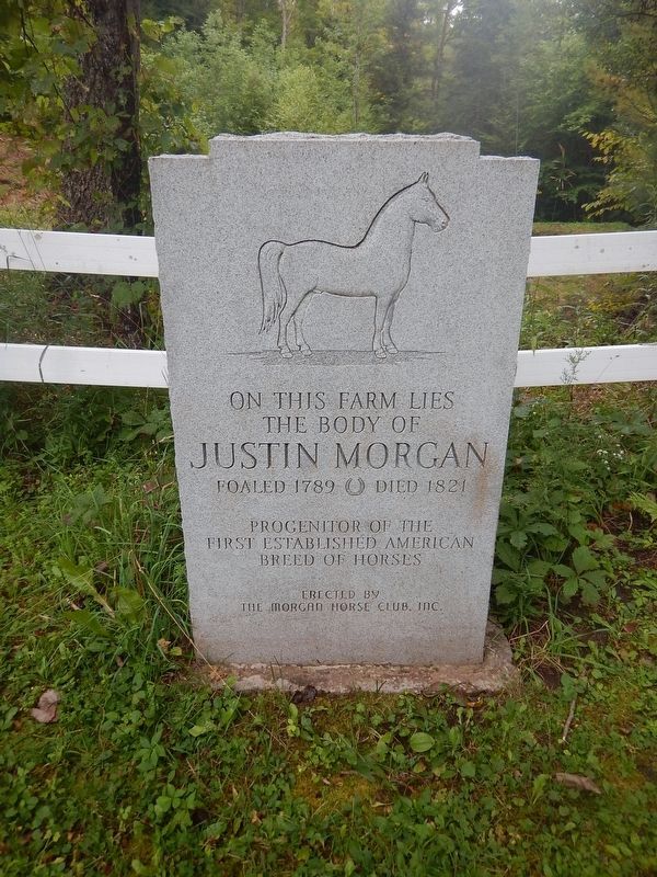 Justin Morgan Horse grave marker image. Click for full size.
