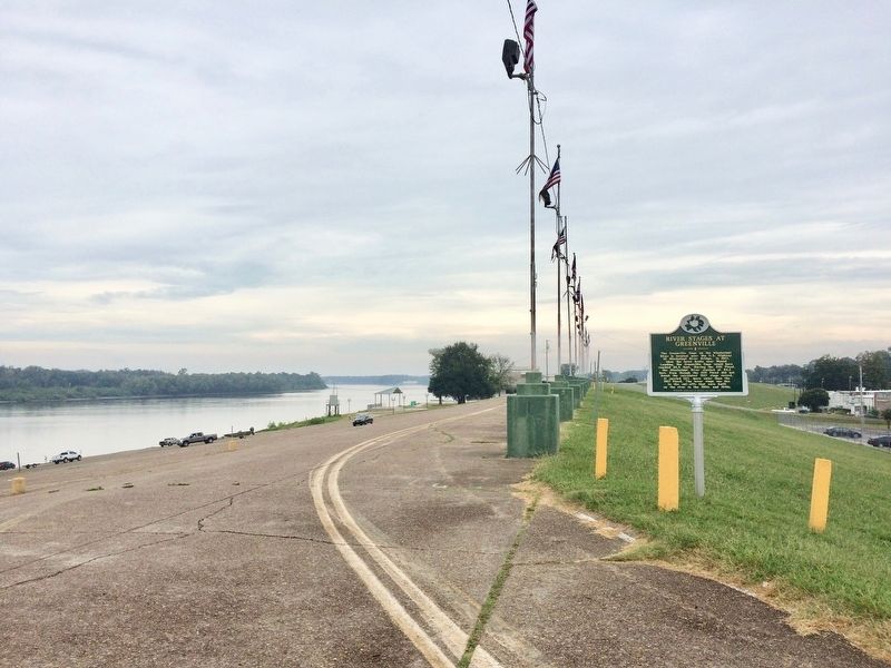 View of the River Stages At Greenville Marker looking north on the river and levee.. Click for full size. View of the River Stages At Greenville Marker looking north on the river and levee. image. Click for full size.
