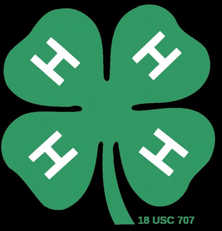 4-H Emblem. Click for full size. 4-H Emblem image. Click for full size.