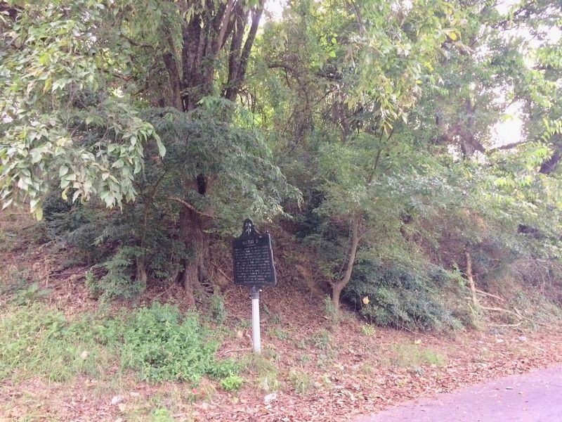 Battery B Marker at hill mentioned. image. Click for full size.