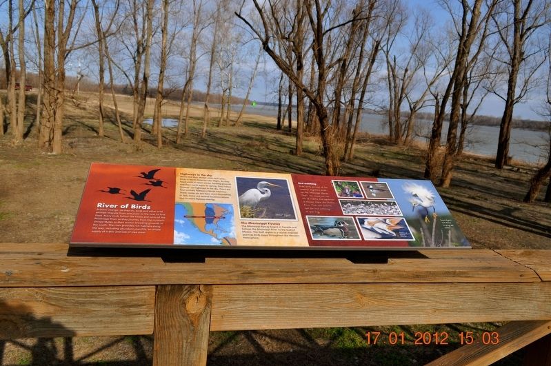River Birds Marker image. Click for full size.