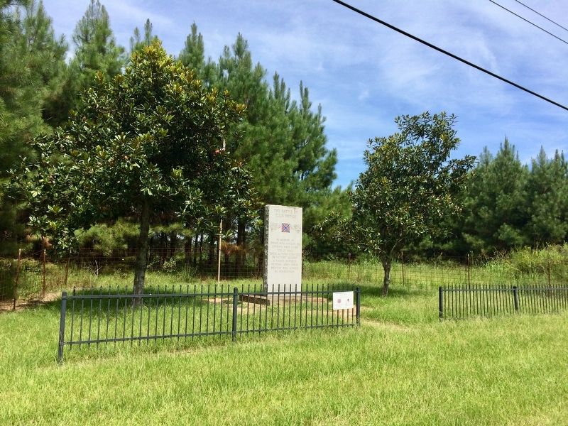 View of monument well off the highway.. Click for full size. View of monument well off the highway. image. Click for full size.