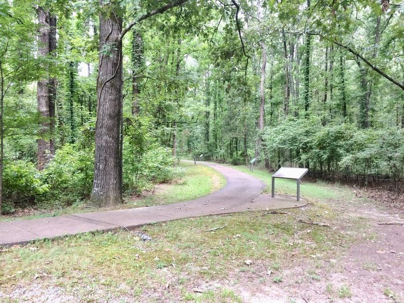 Marker at parking area on road to Picnic Area. image. Click for full size.