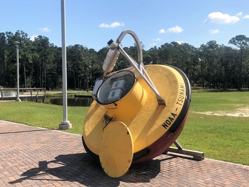 Tsunami Buoy. Click for full size. Tsunami Buoy image. Click for full size.