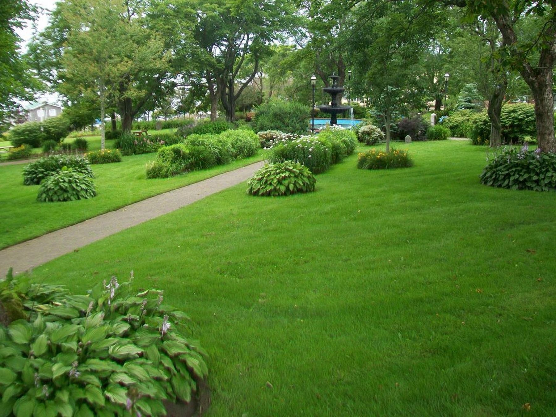 Frost Park View. Click for full size. Frost Park View image. Click for full size.
