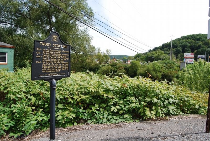 Trout Stocking Marker. Click for full size. Trout Stocking Marker image. Click for full size.