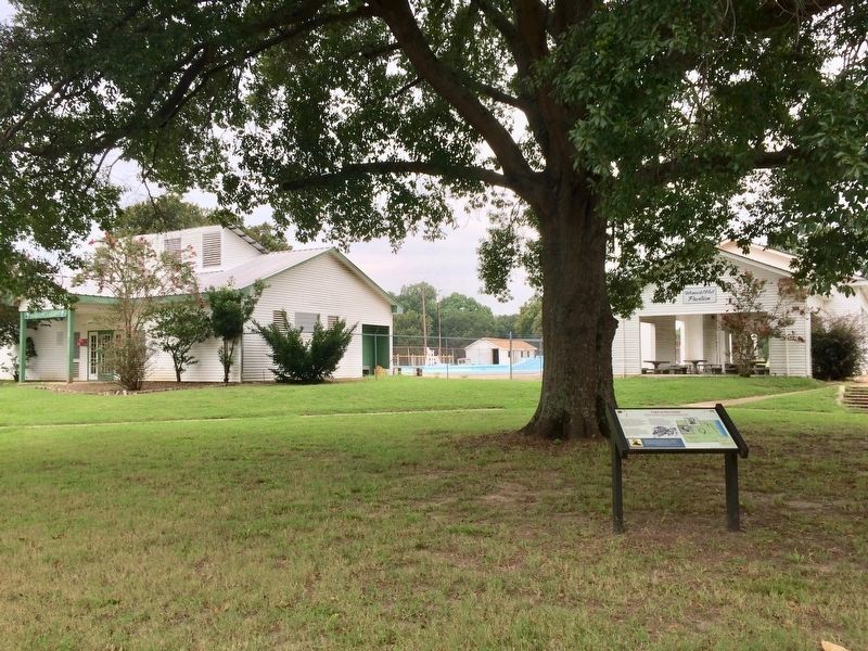 Fight at the Levee Marker near Pool House.. Click for full size. Fight at the Levee Marker near Pool House. image. Click for full size.