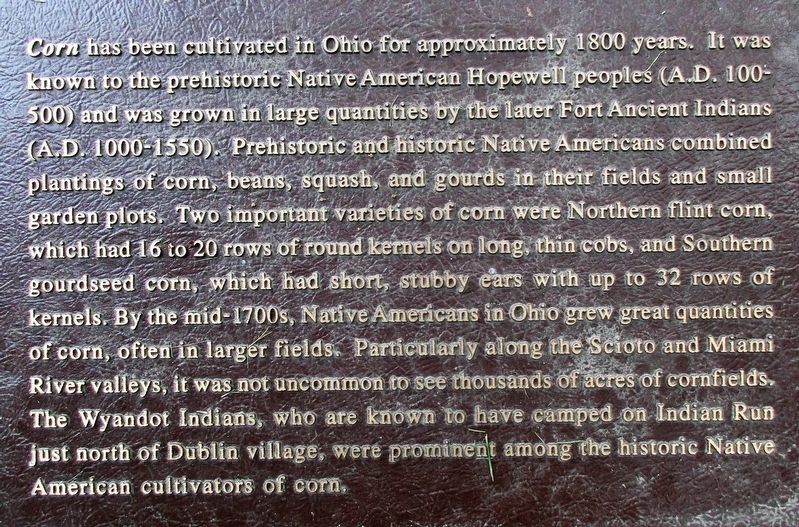 Field of Corn Marker image. Click for full size.