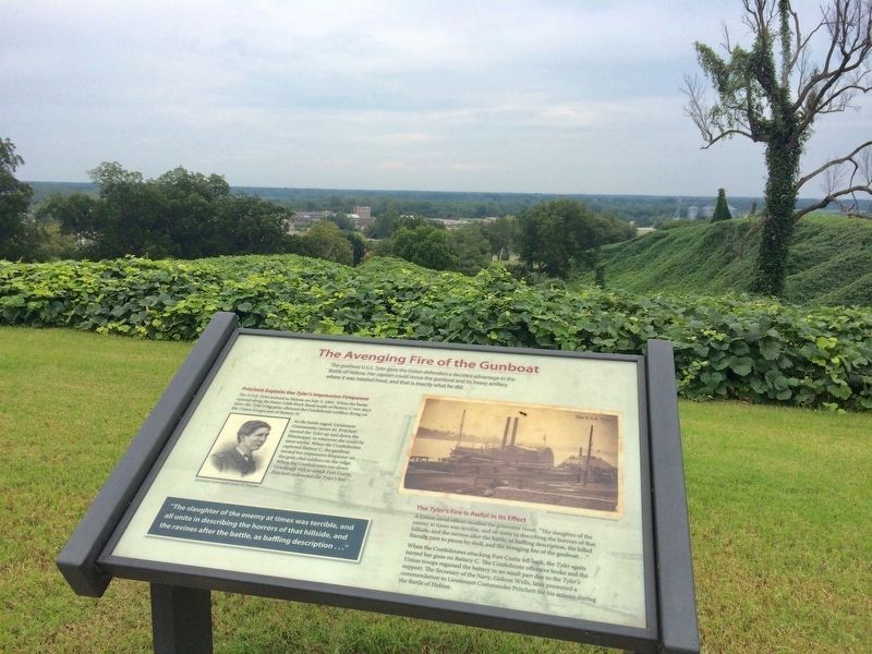 The line of the Mississippi River is barely discernible in background. image. Click for full size.