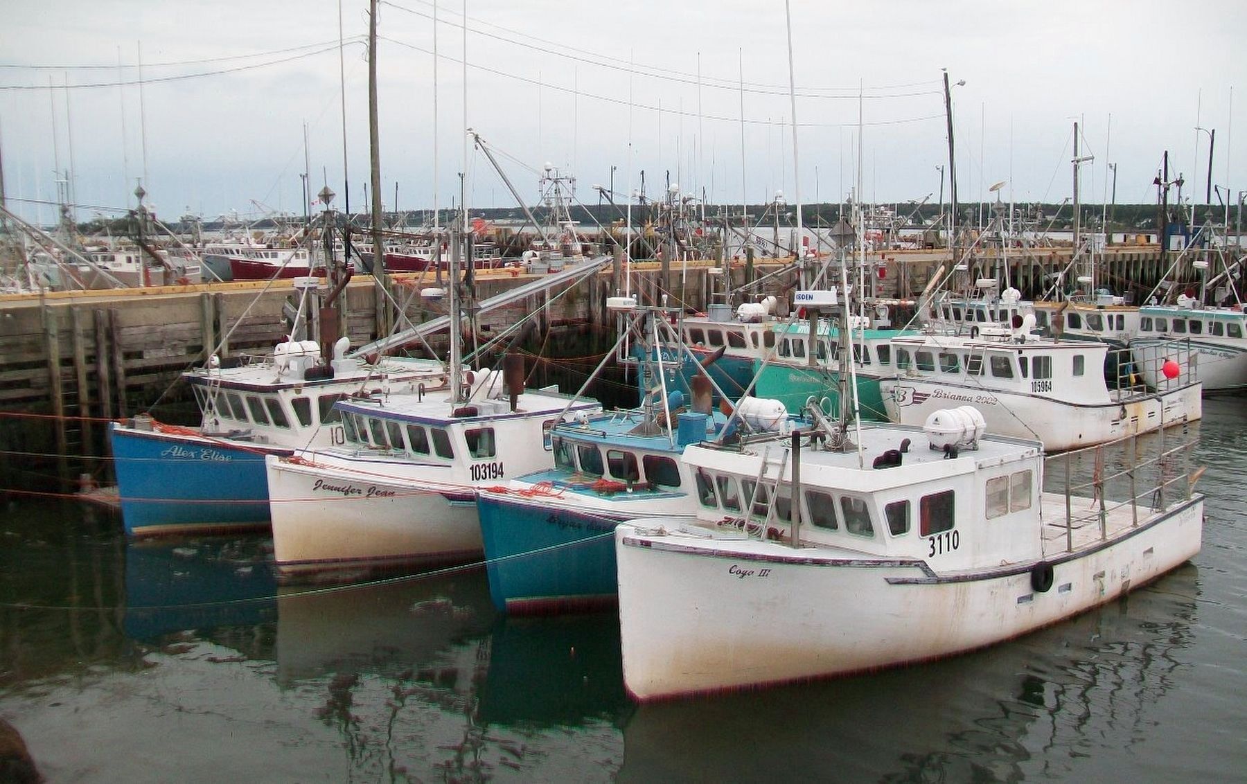 Small Portion of the Dennis Point Fishing Fleet. Click for full size. Small Portion of the Dennis Point Fishing Fleet image. Click for full size.