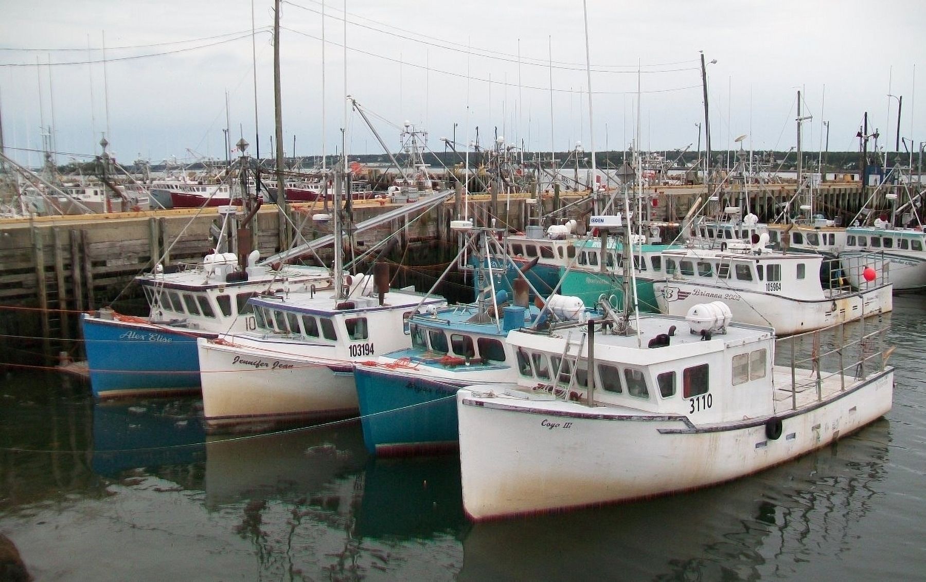 Small Portion of the Dennis Point Fishing Fleet. Click for full size. Small Portion of the Dennis Point Fishing Fleet image. Click for full size.