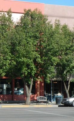 Weller-Henry Building. Click for full size. Weller-Henry Building image. Click for full size.