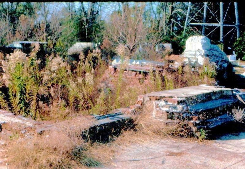 Afton Villa Ruins image. Click for full size.