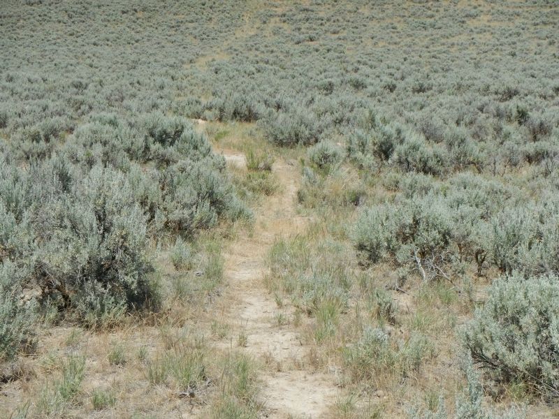 Ruts of the Oregon Trail image. Click for full size.