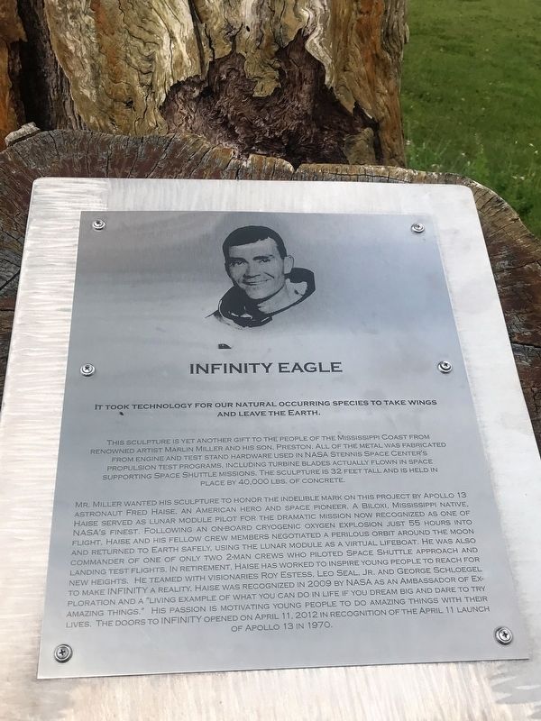 Infinity Eagle Marker image. Click for full size.
