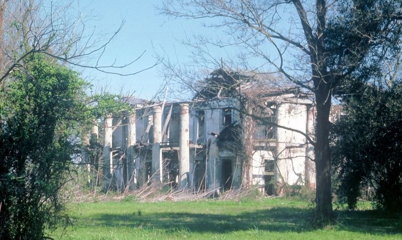 Seven Oaks Plantation Ruins image. Click for full size.