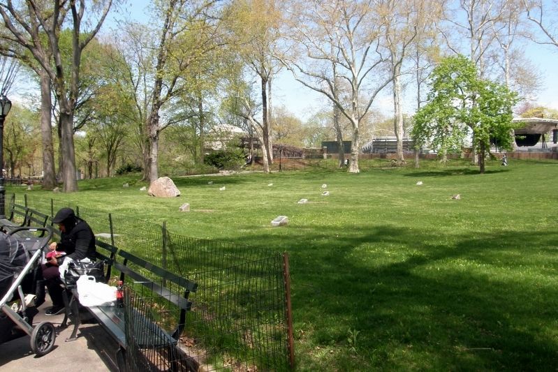 The Memorial Grove image. Click for full size.