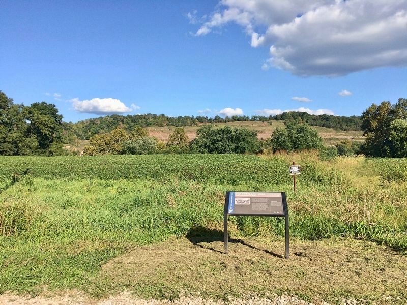 The Ohio River ford location is just beyond the tree line in background. image. Click for full size.