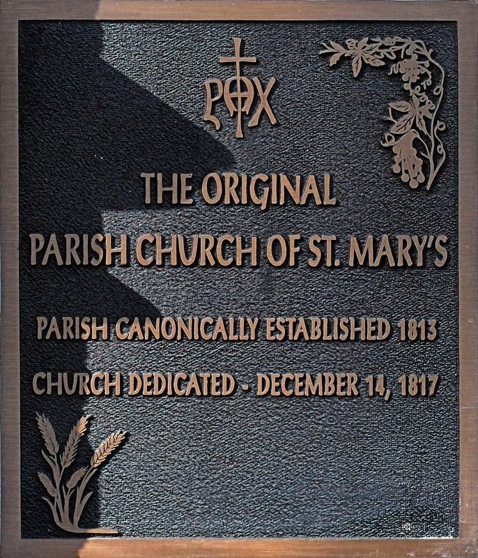 P A X. Click for full size. P A X image. Click for full size.