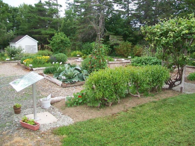 Potager Acadien / Acadian Garden and Marker image. Click for full size.