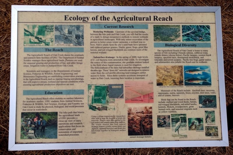 Ecology of the Agricultural Reach Marker image. Click for full size.