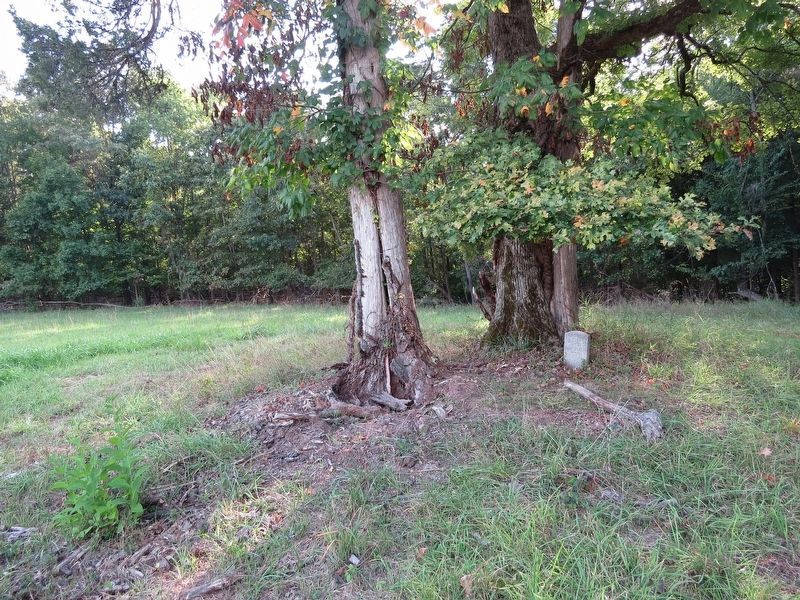7th Georgia Regiment Marker nestled in a copse image. Click for full size.